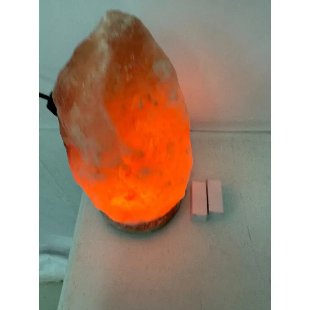Himalayan Salt Lamp 10 in. Tall with Dimmer Switch Night Light Table Lamp